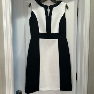 Tahari Dress
